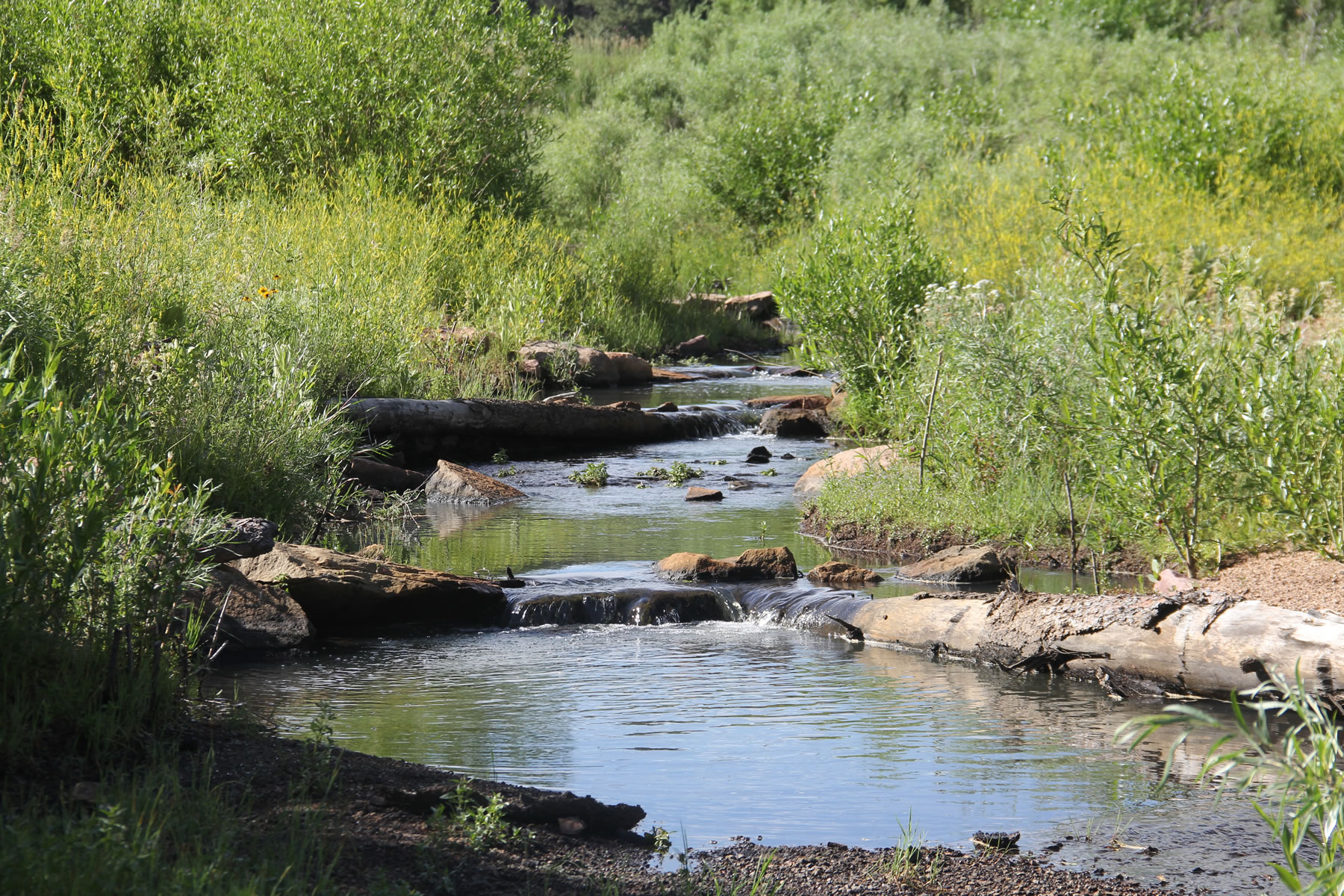 Wildland Hydrology Consultants